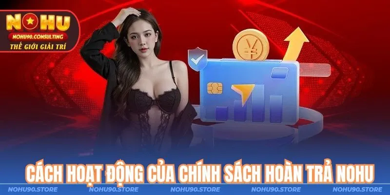 Cách hoạt động của chính sách hoàn trả nohu
