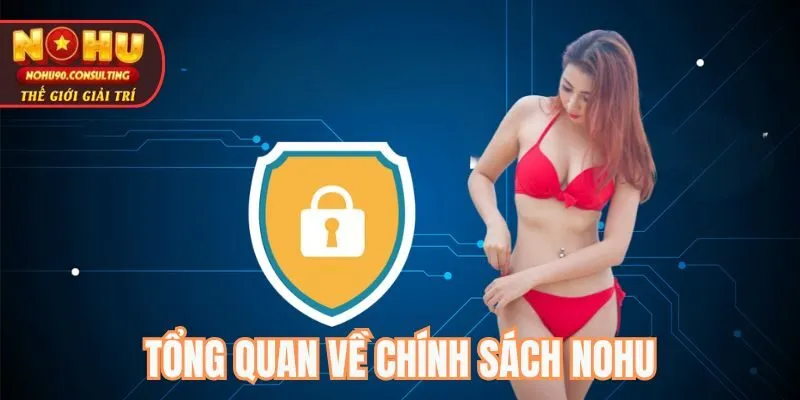 Tổng quan về chính sách nohu