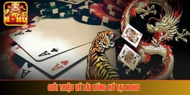 Giới thiệu về bài rồng hổ tại nohu